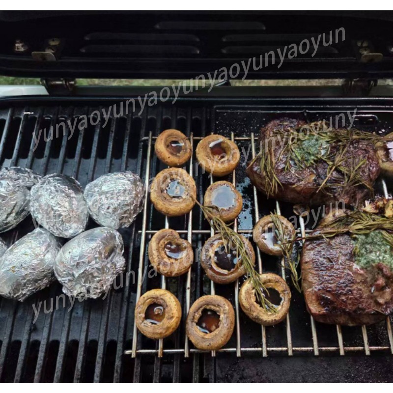 Pemanggang Lipat Portabel untu - Camping Cooking Easy ulasan dan harga